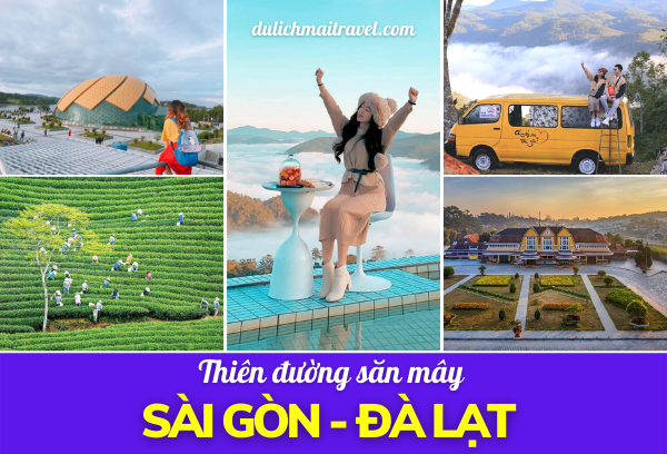 TOUR ĐÀ LẠT 3N3D - THIÊN ĐƯỜNG SĂN MÂY