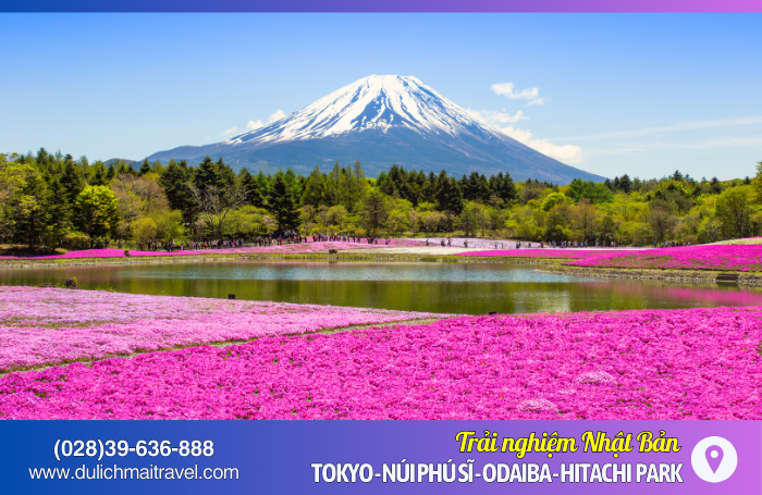 Tour Nhật Bản 5N4D • Tokyo, Núi Phú Sĩ, Oshino Hakkai