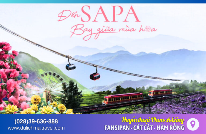 Tour Sapa 3N2Đ • Chinh Phục Fansipan, Cát Cát, Hàm Rồng