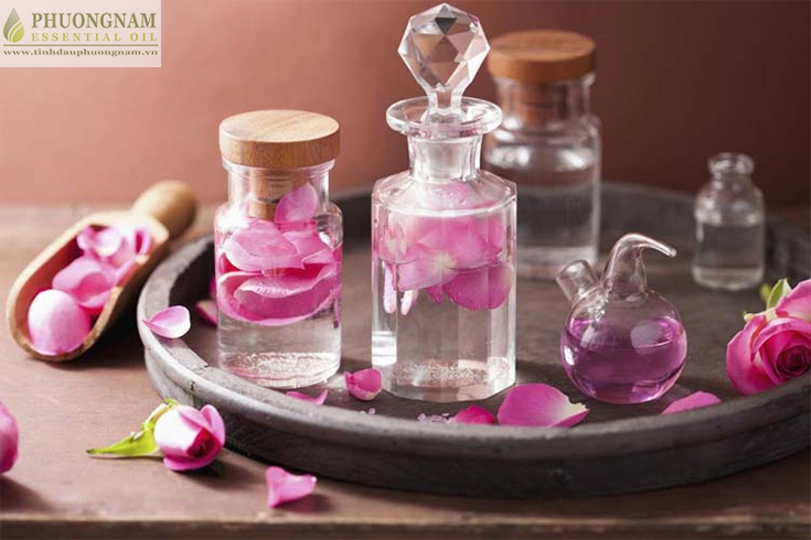 cong-dung-tinh-dau-hoa-hong-p2