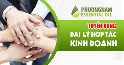 TUYỂN ĐẠI LÝ TINH DẦU PHUONGNAM TUYỂN ĐẠI LÝ TINH DẦU PHUONGNAM