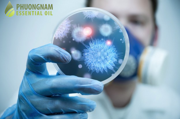Tác dụng của tinh dầu là i (nhà i)