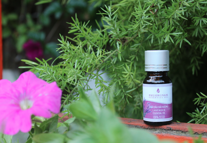 Tinh dầu lavender (oải hương)