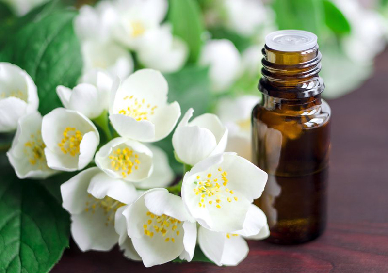 TÁC DỤNG CỦA TINH DẦU HOA LÀI