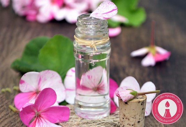 Tinh dầu phong lữ