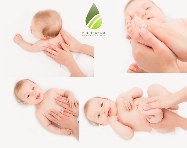 Tinh Dầu Tràm (Tràm Gió - Cajeput) Tinh Dầu Tràm (Tràm Gió - Cajeput)