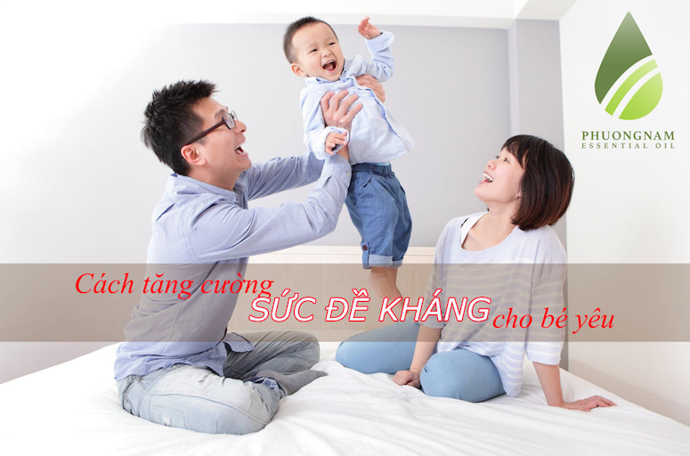 Tinh Dầu Tràm (Tràm Gió - Cajeput) Tinh Dầu Tràm (Tràm Gió - Cajeput)