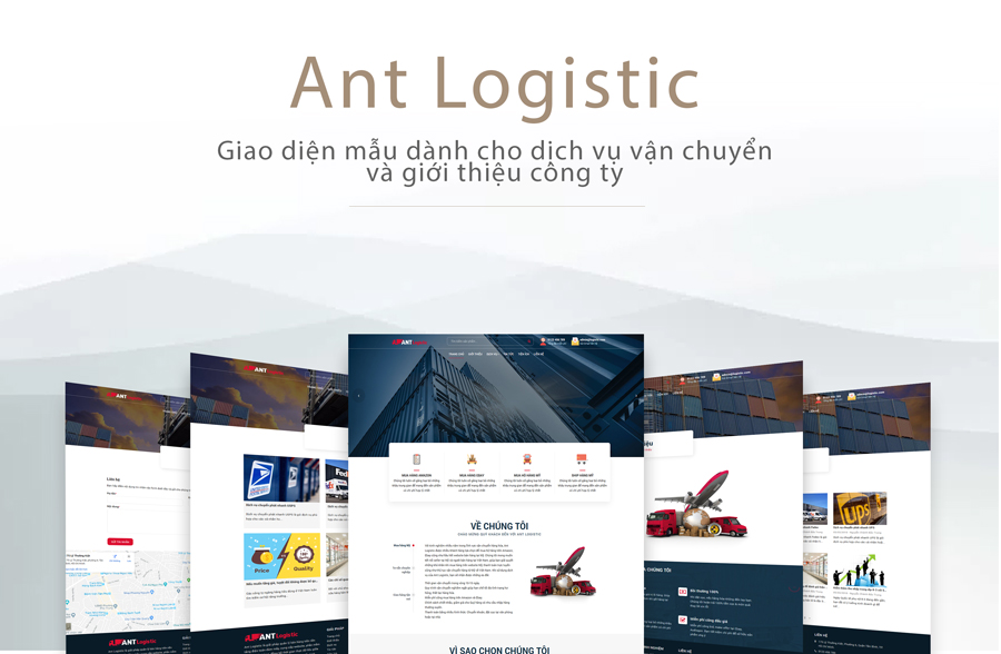 Ant Logistic