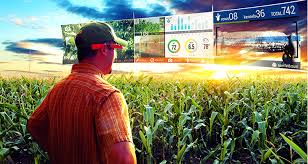 Bosch giới thiệu loạt giải pháp nông nghiệp thông minh, nhà kết nối,... ứng dụng IoT