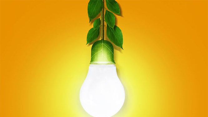 “Năng lượng xanh” đang thay đổi cả thế giới nhờ 8 lợi ích này!