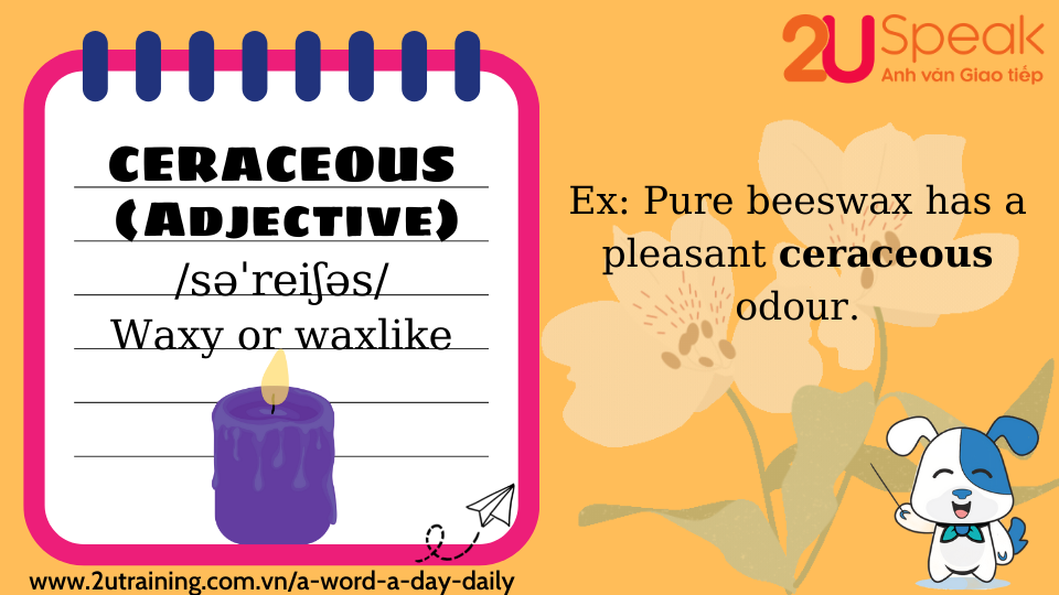 A Word A Day - Ceraceous