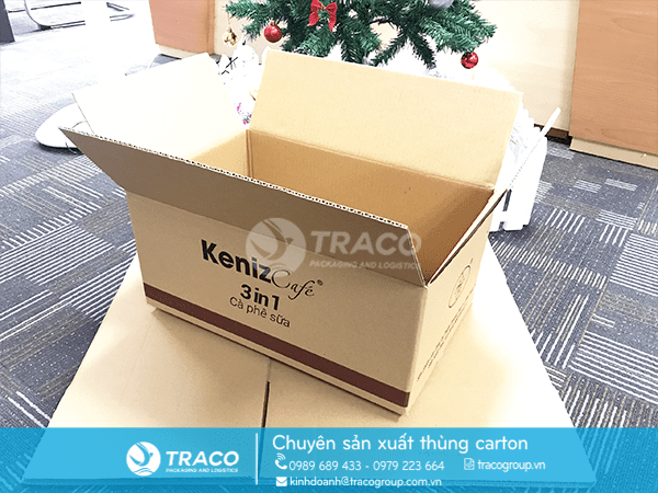 TH&Ugrave;NG CARTON 3 LỚP