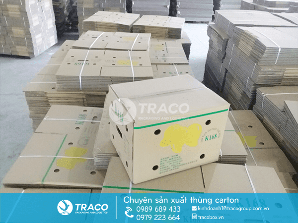 Thùng Carton Đựng Xoài Xuất Khẩu