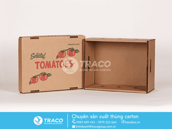 THÙNG CARTON ĐỰNG TRÁI CÂY XUẤT KHẨU