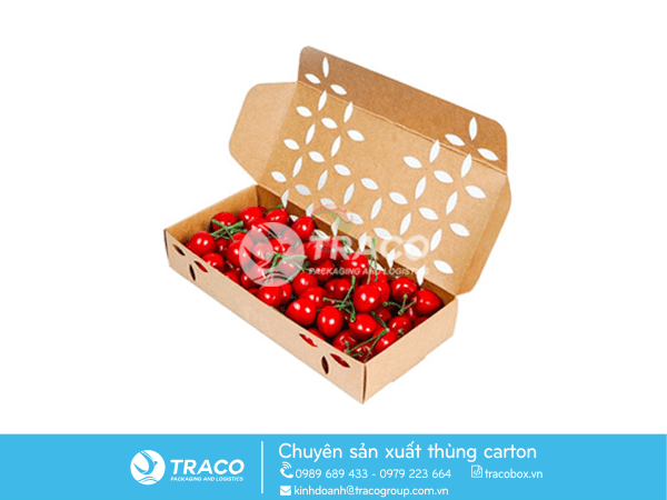 THÙNG CARTON ĐỰNG TRÁI CÂY XUẤT KHẨU