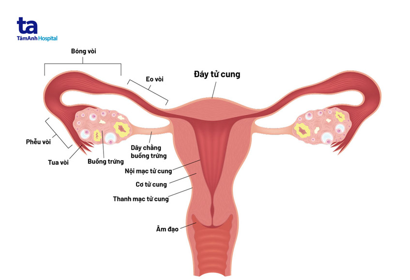 Hạnh Phúc là do mình