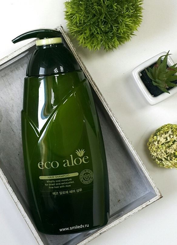 Dầu gội xả mượt tóc thiên nhiên ECO ALOE