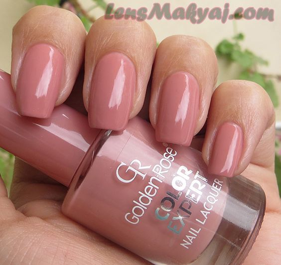 Nước sơn Golden Rose Color Expert