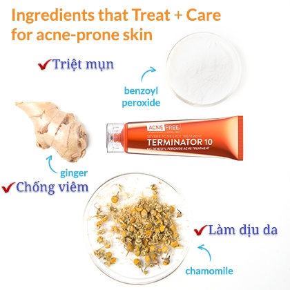 Kem trị mụn bọc , mụn đầu đen , mụn thâm Terminator 10 AcneFree Acne & Blackhead