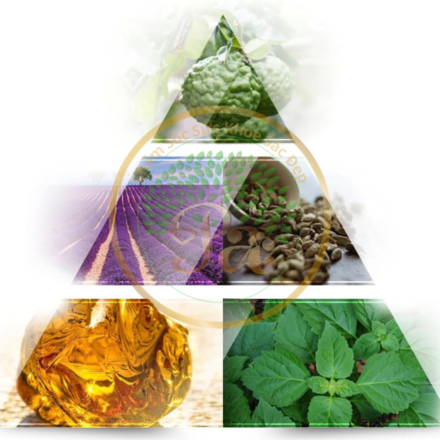 Nước hoa nam La Rive - Extreme Story 75ML NHẬP TỪ USA