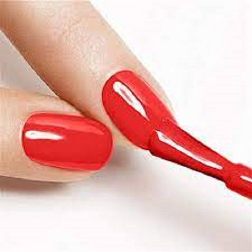 Nước sơn Pastel Turkey