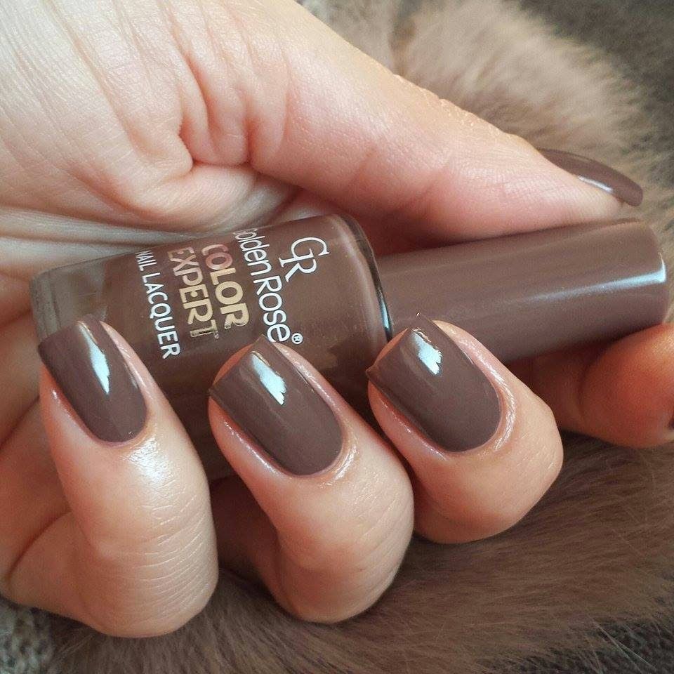 Nước sơn Golden Rose Color Expert