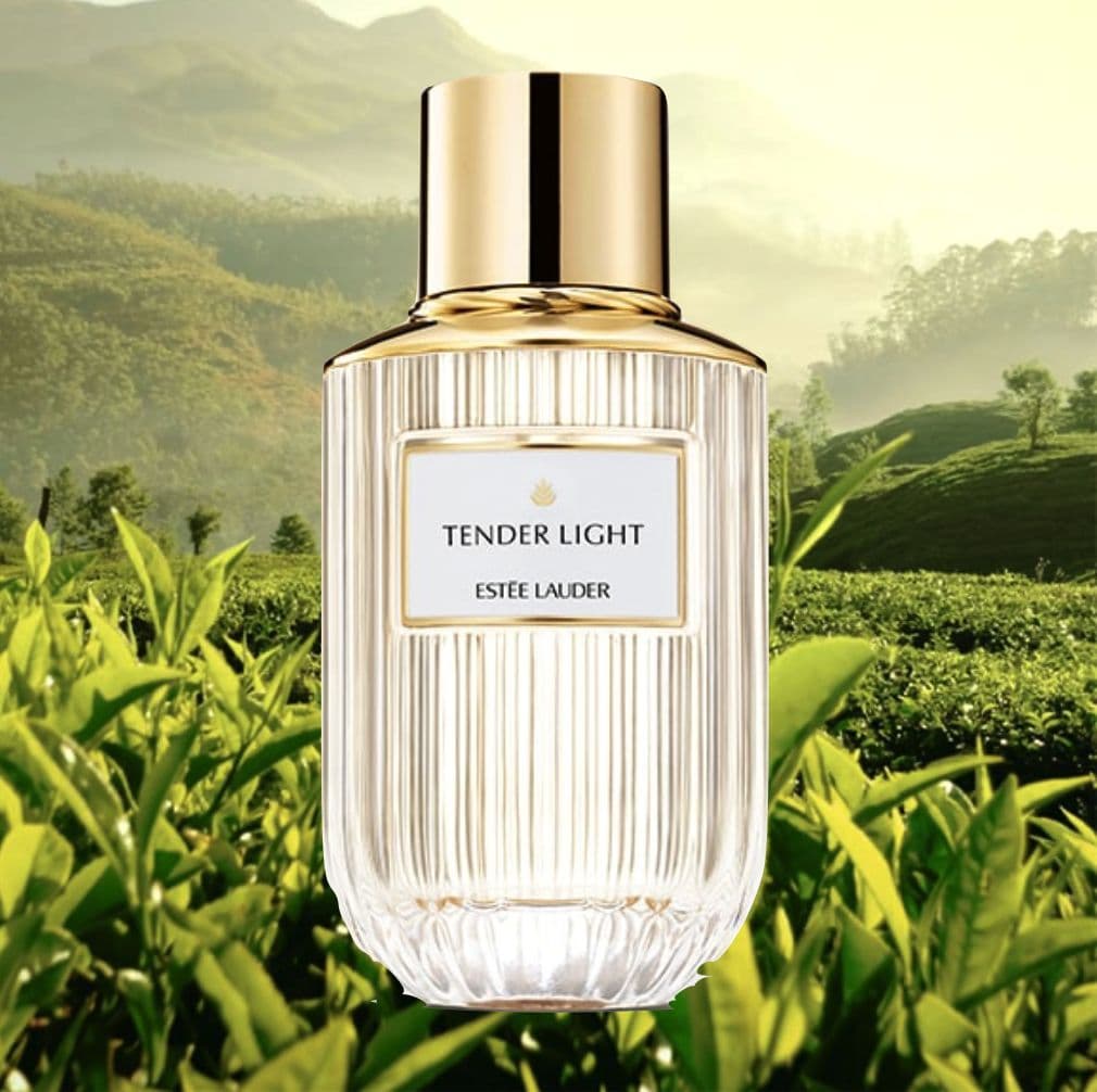 Nước hoa Esteelauder Tender Light 4ml mua từ Pháp