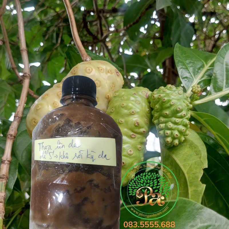 Nhàu massage hữu cơ Organic