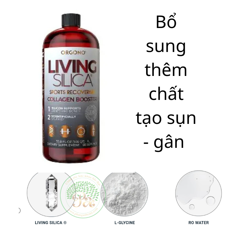 Collagen Tảo sống Sillica 100% Vegan nhập nguyên từ USA