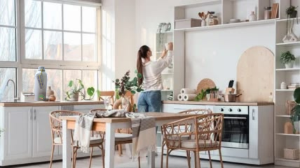 Nước rửa chén organic ( hữu cơ)