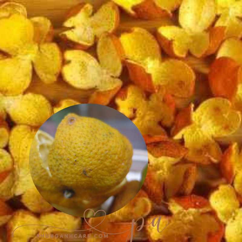Trần Bì Cổ Quýt Rừng Mộc Châu