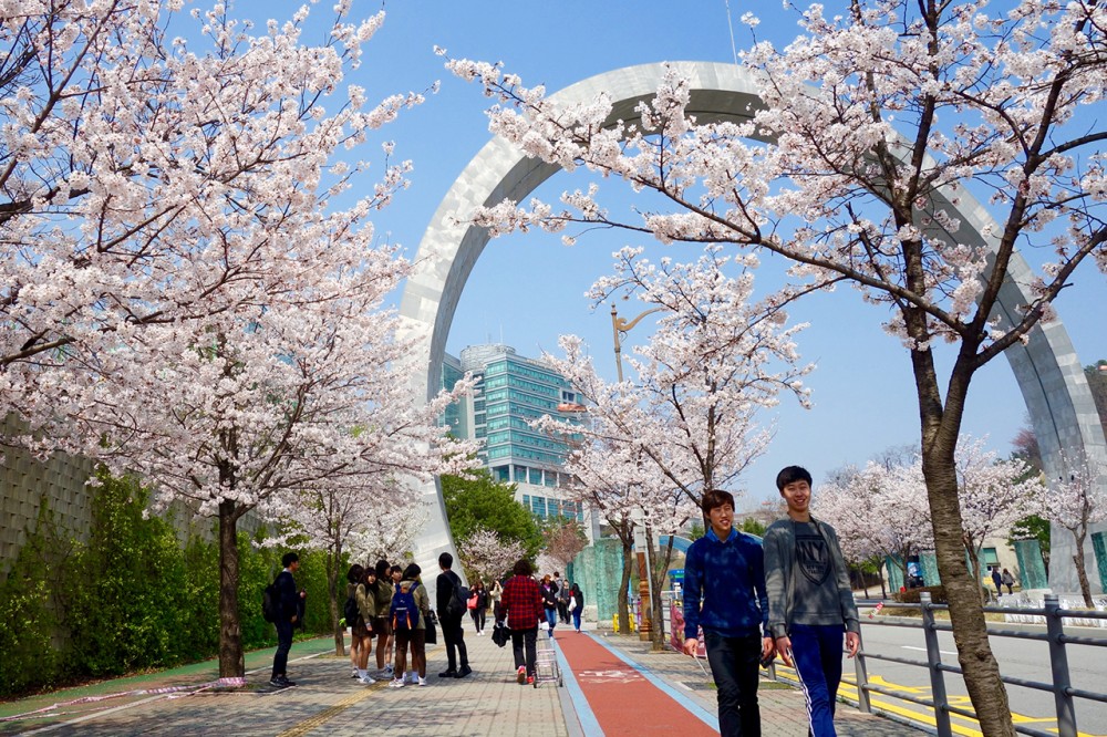 KANG NAM University