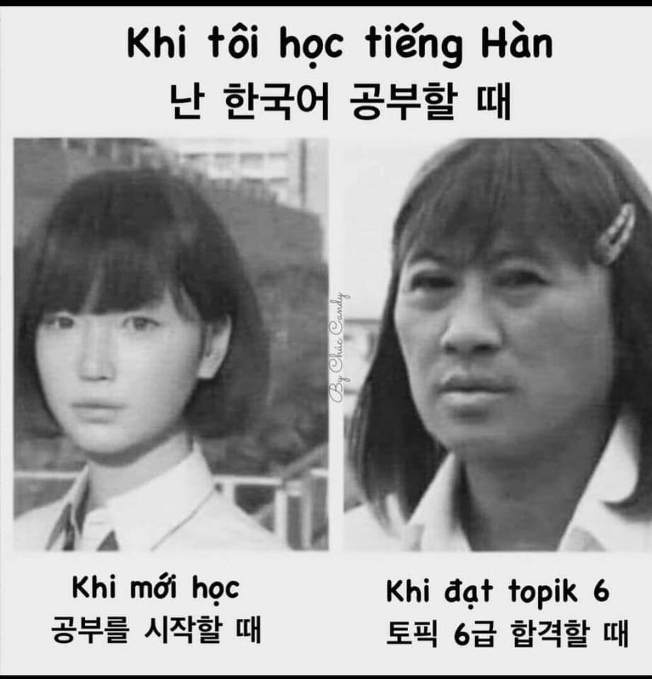 Một số câu giao tiếp tiếng Hàn thông dụng nhất