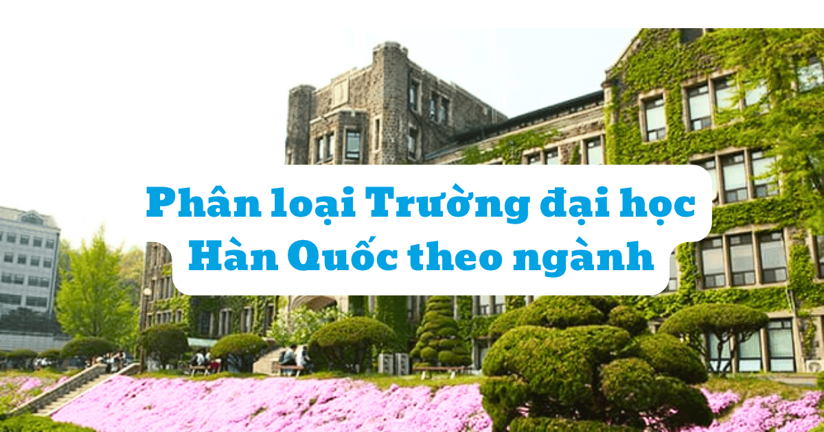 Phân loại Trường đại học Hàn Quốc theo ngành