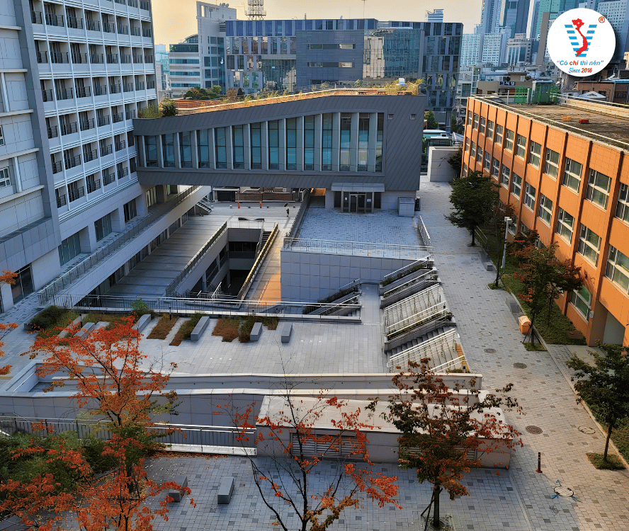 Nếu bạn đang tìm kiếm một ngôi trường Top 1 chất lượng ngay giữa lòng thủ đô Seoul thì đừng bỏ qua Hongik University.
