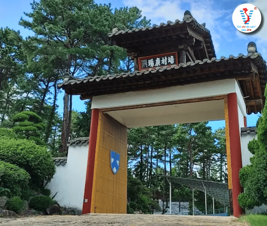 Đại Học Paichai Hàn Quốc – Cái Nôi Đào Tạo Tiếng Hàn Dành Cho Du Học Sinh Quốc Tế