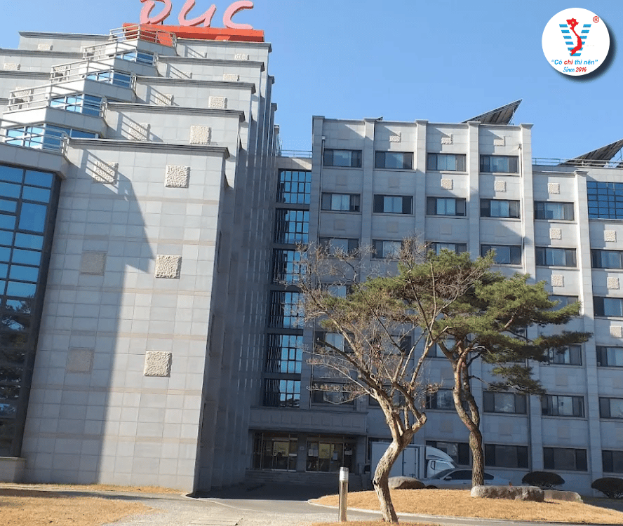 Daewon University College – Hơn 8 Năm Đồng Hành Cùng Viet Spirit Trên Hành Trình Du Học Hàn Quốc
