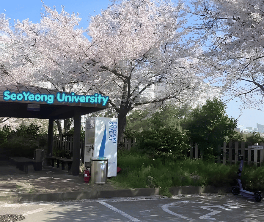 Viet Spirit Khảo Sát SeoYeong University 2026 – Đồng Hành Cùng Học Sinh Tìm Kiếm Ngôi Trường Phù Hợp Nhất