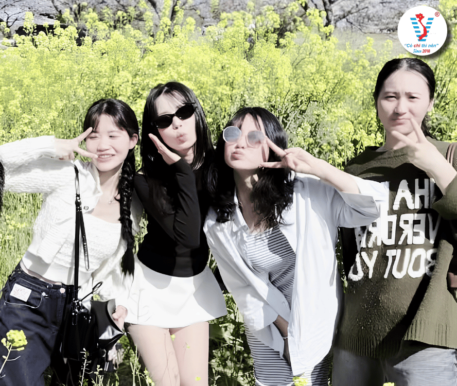 Một Ngày Khám Phá Jeju Cùng Học Viên Viet Spirit – Từ Hoa Anh Đào Đến Đảo Udo Xinh Đẹp
