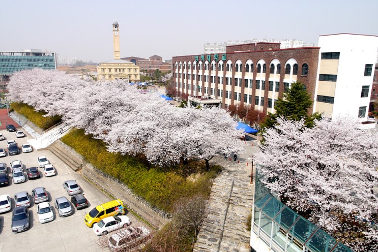 THÔNG TIN DU HỌC TRƯỜNG ĐẠI HỌC PYEONGTAEK 2018