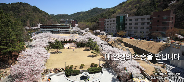YOUNG SAN University