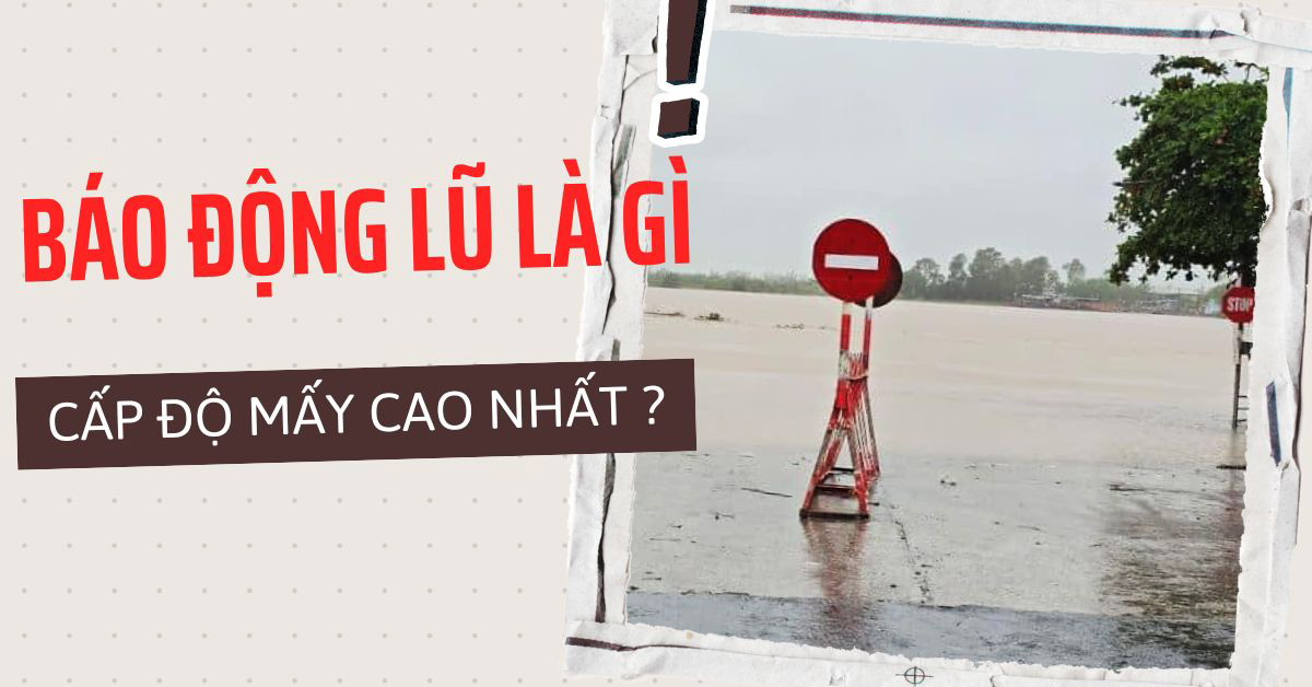 Các Cấp Độ Báo Động Lũ Và Cách Ứng Phó An Toàn
