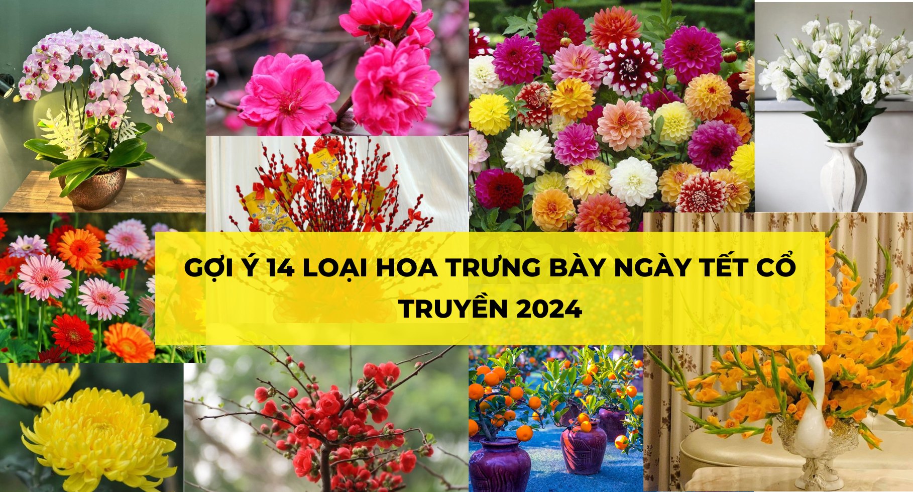 GỢI Ý 14 LOẠI HOA TRƯNG BÀY NGÀY TẾT CỔ TRUYỀN 2024