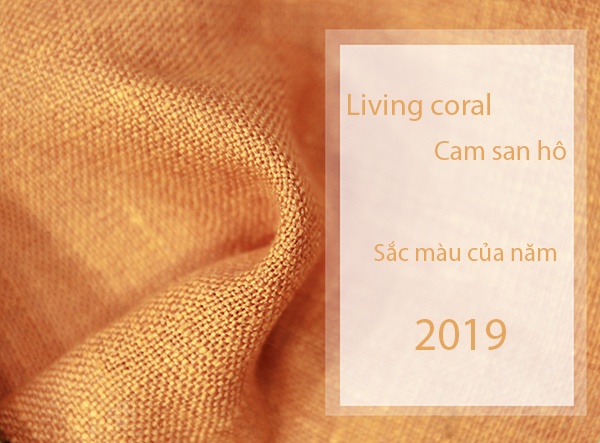 xu hướng màu nội thất 2019