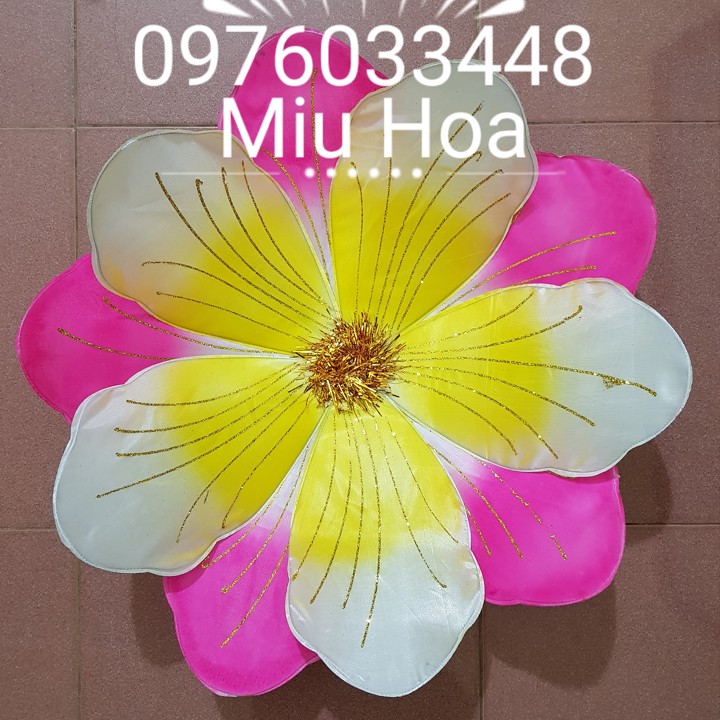 Hoa múa mẫu 06