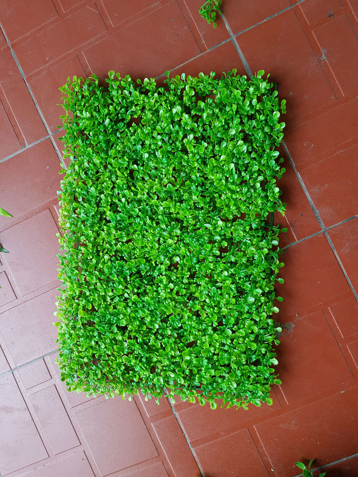 Phên cỏ lá