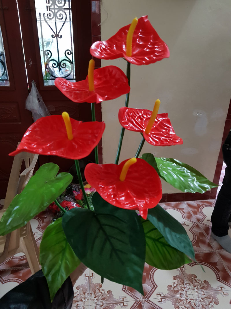 Hoa hồng môn