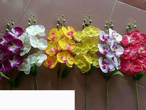 Móng rồng, hồ điệp cao, châu