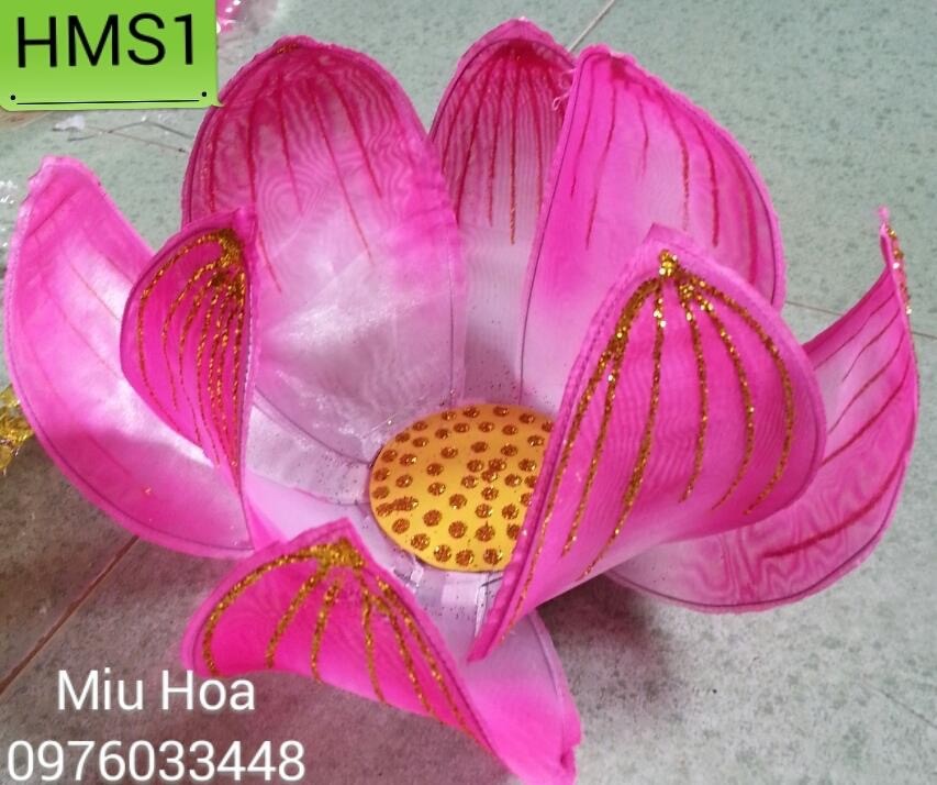 Hoa múa mẫu 11