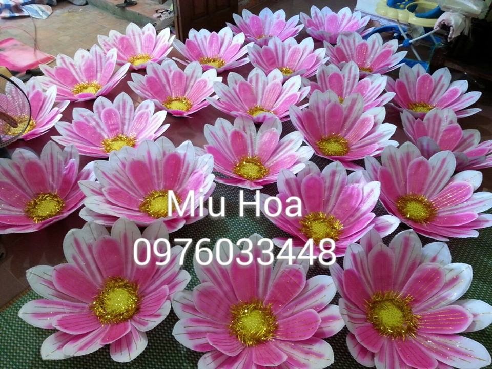 Hoa múa mẫu 23